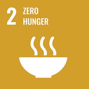 Sustainable Development Goal
