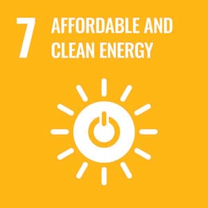 Sustainable Development Goal