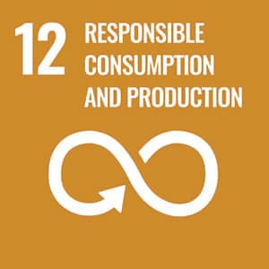 Sustainable Development Goal