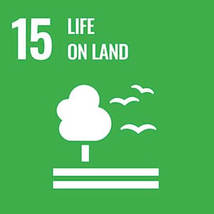 Sustainable Development Goal