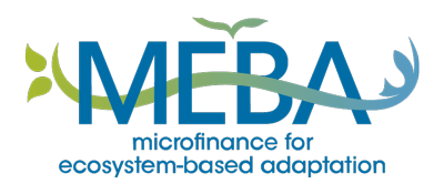 MEbA