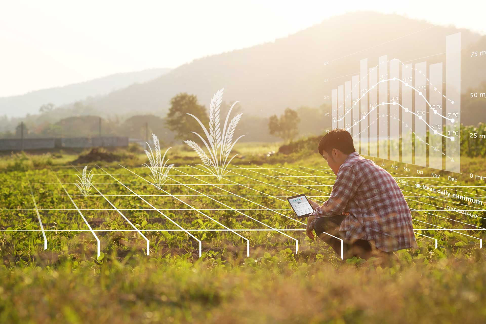 Featured image for “YAPU Digital: el préstamo agrícola más fácil”