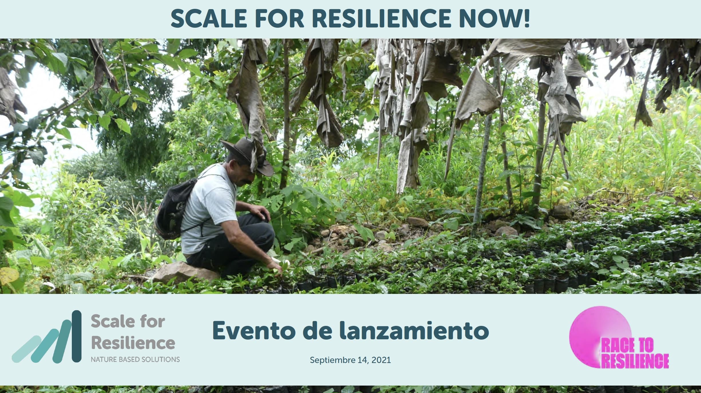 Featured image for “Succès de l’événement de lancement de Scale for Resilience en Amérique latine”